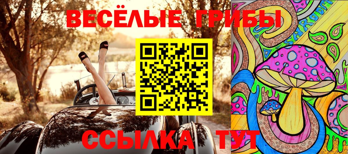 Галлюциногенные грибы Psilocybe  Вход с VPN  Сочи  Псилоцибиновые грибы прущие грибы 